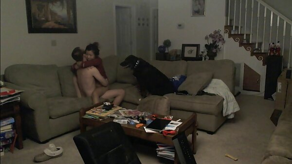 دختر گاوچران عالی، لی لانی، حریصانه بی بی سی را می مکد دانلود سکس کوردی و سوار می شود