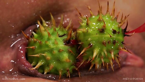 ولگردهای با موهای تیره در جشن عیاشی دانلودسکس کردی سخت شرکت می کنند